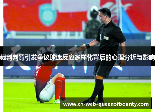 裁判判罚引发争议球迷反应多样化背后的心理分析与影响