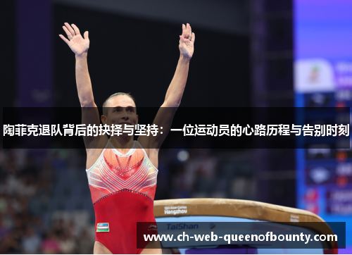 陶菲克退队背后的抉择与坚持：一位运动员的心路历程与告别时刻