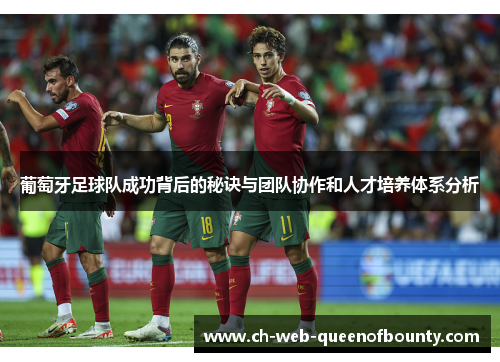 葡萄牙足球队成功背后的秘诀与团队协作和人才培养体系分析