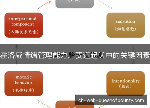 霍洛威情绪管理能力，赛道起伏中的关键因素